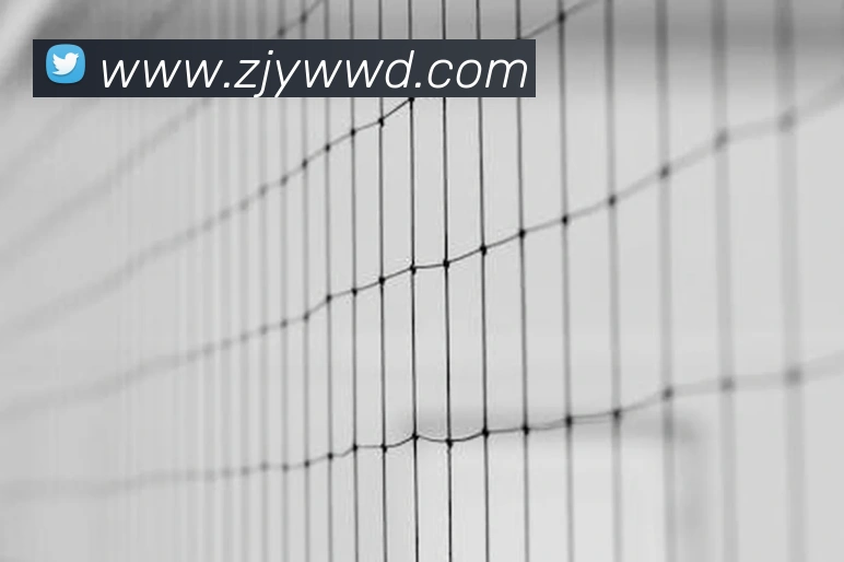 问鼎28平台生态图